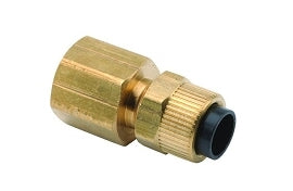 1/4" Poly Straight Connector x 1/4" FPT DCI 0056