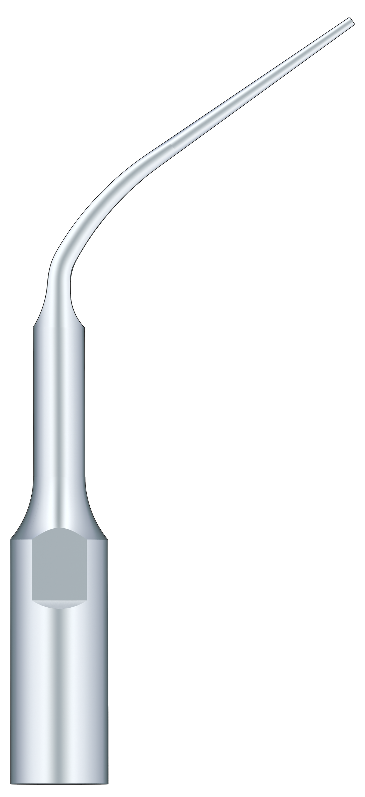 Periodontal Scaling PD3
