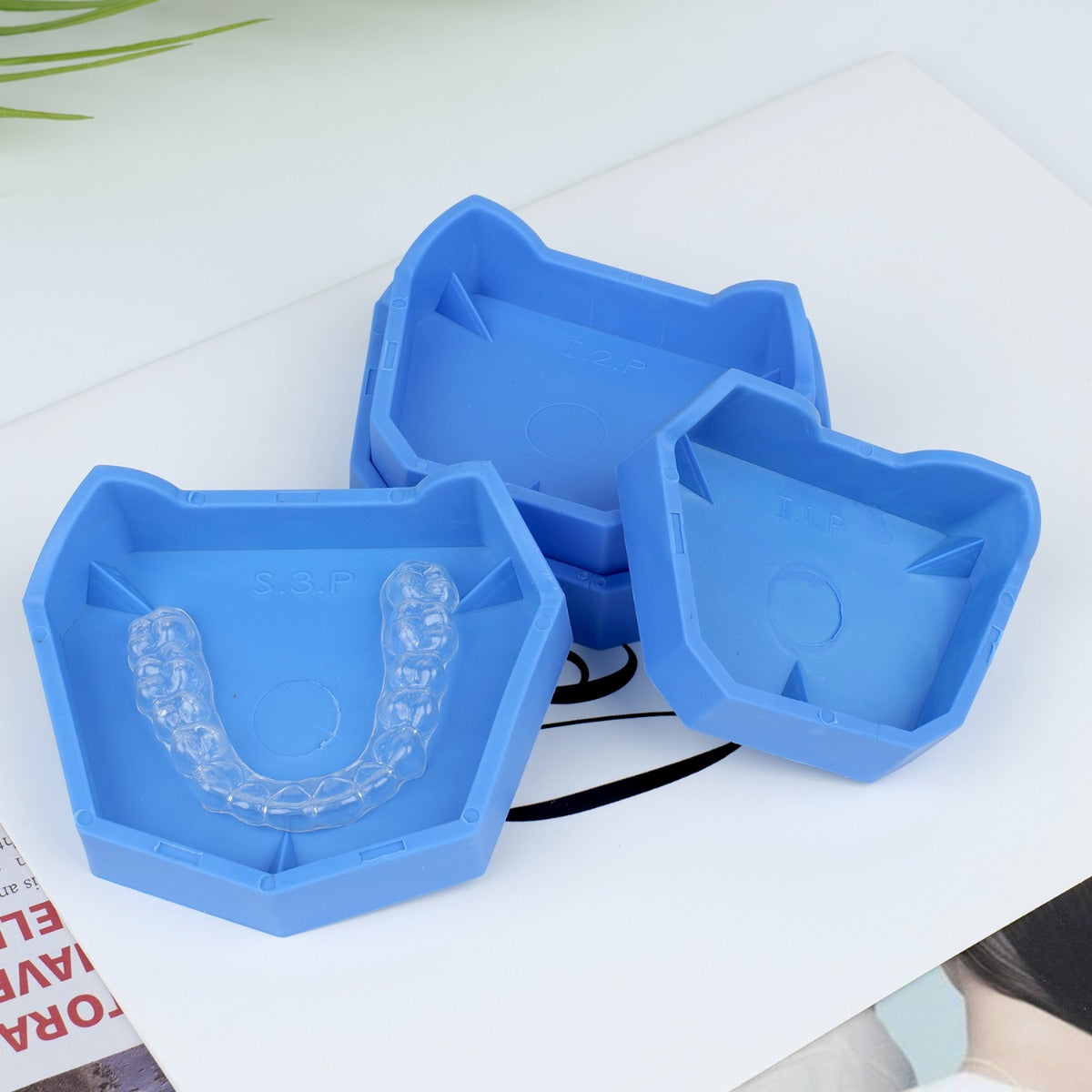 Dental Tray Base