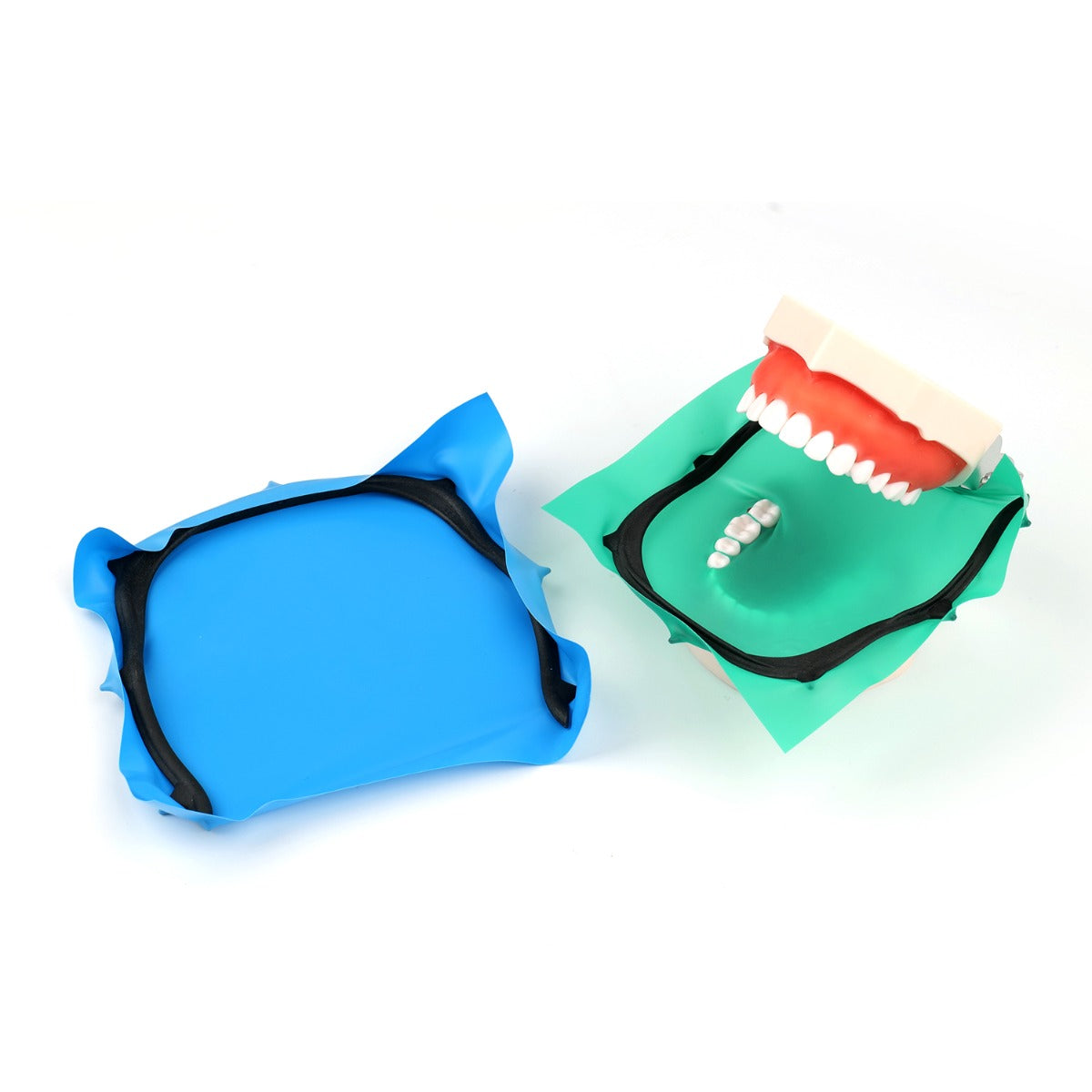 Dental Dam