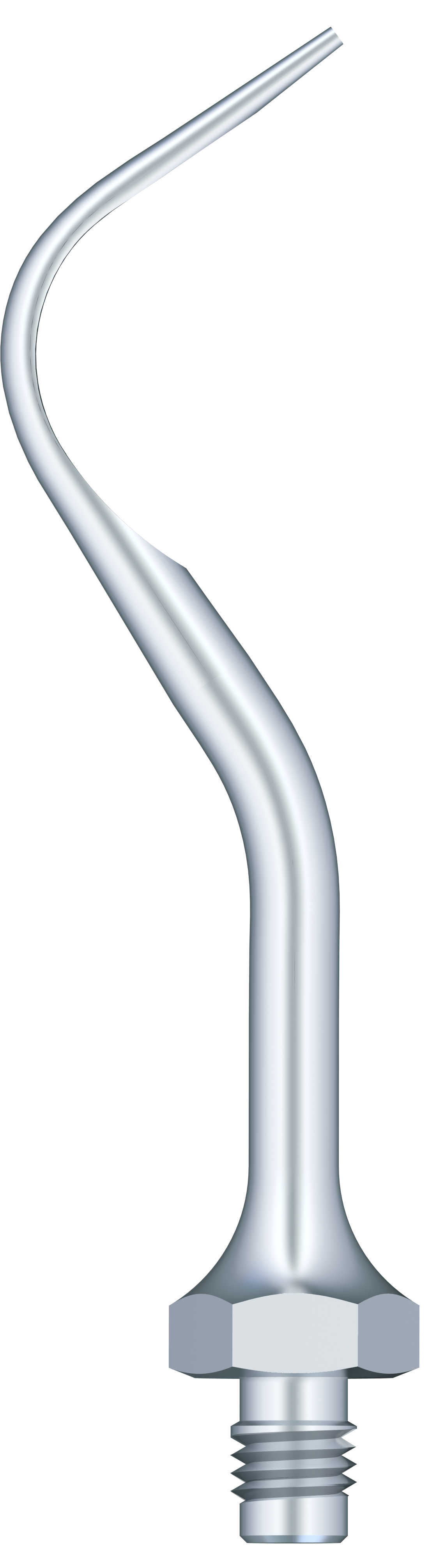 Supragingival Scaling A1