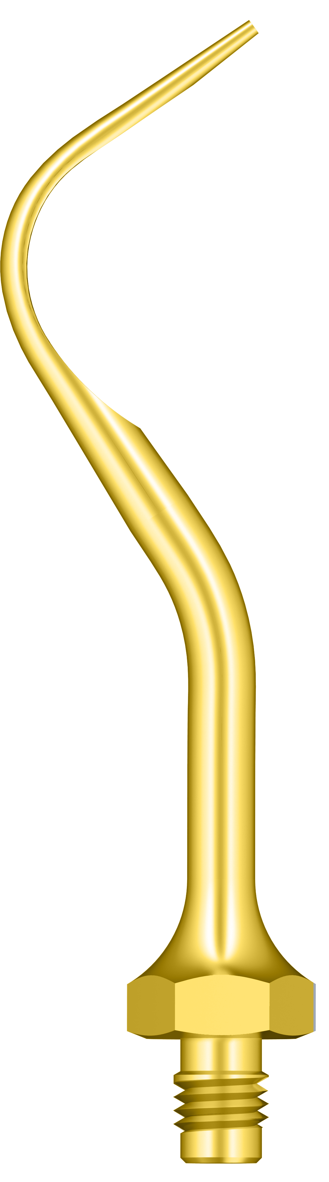 Supragingival Scaling A1T