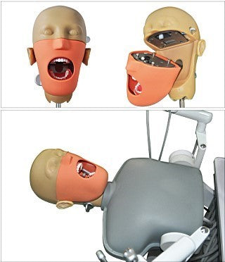 Ajax Phantom Head Teaching System
