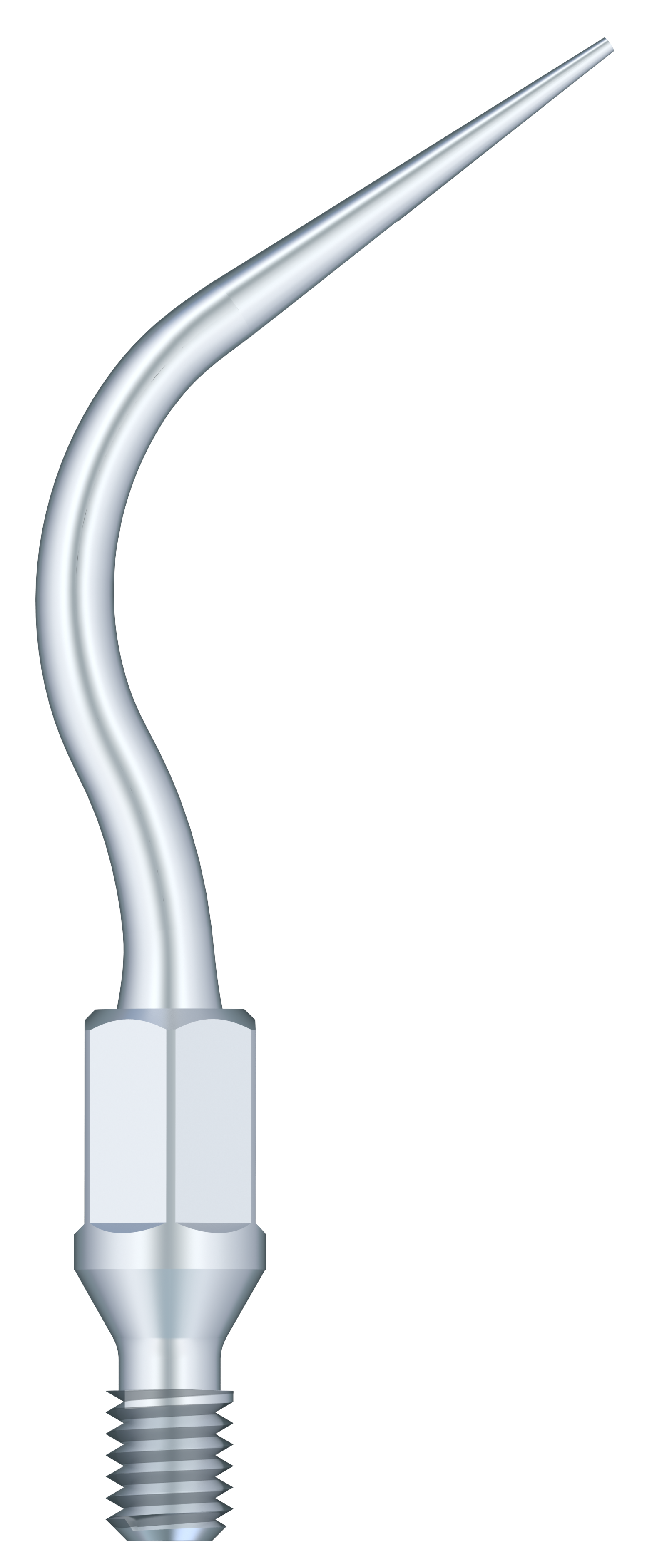 Supragingival & Subgingival Scaling GK6