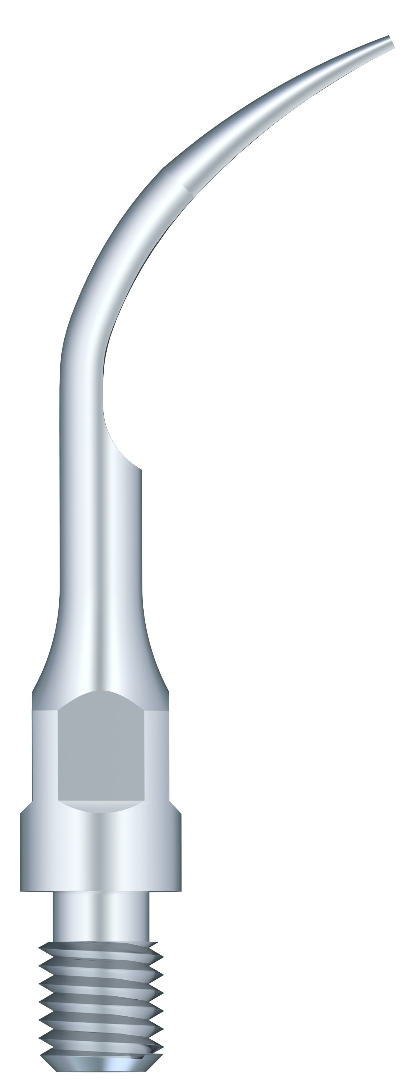 Supragingival Scaling GS1