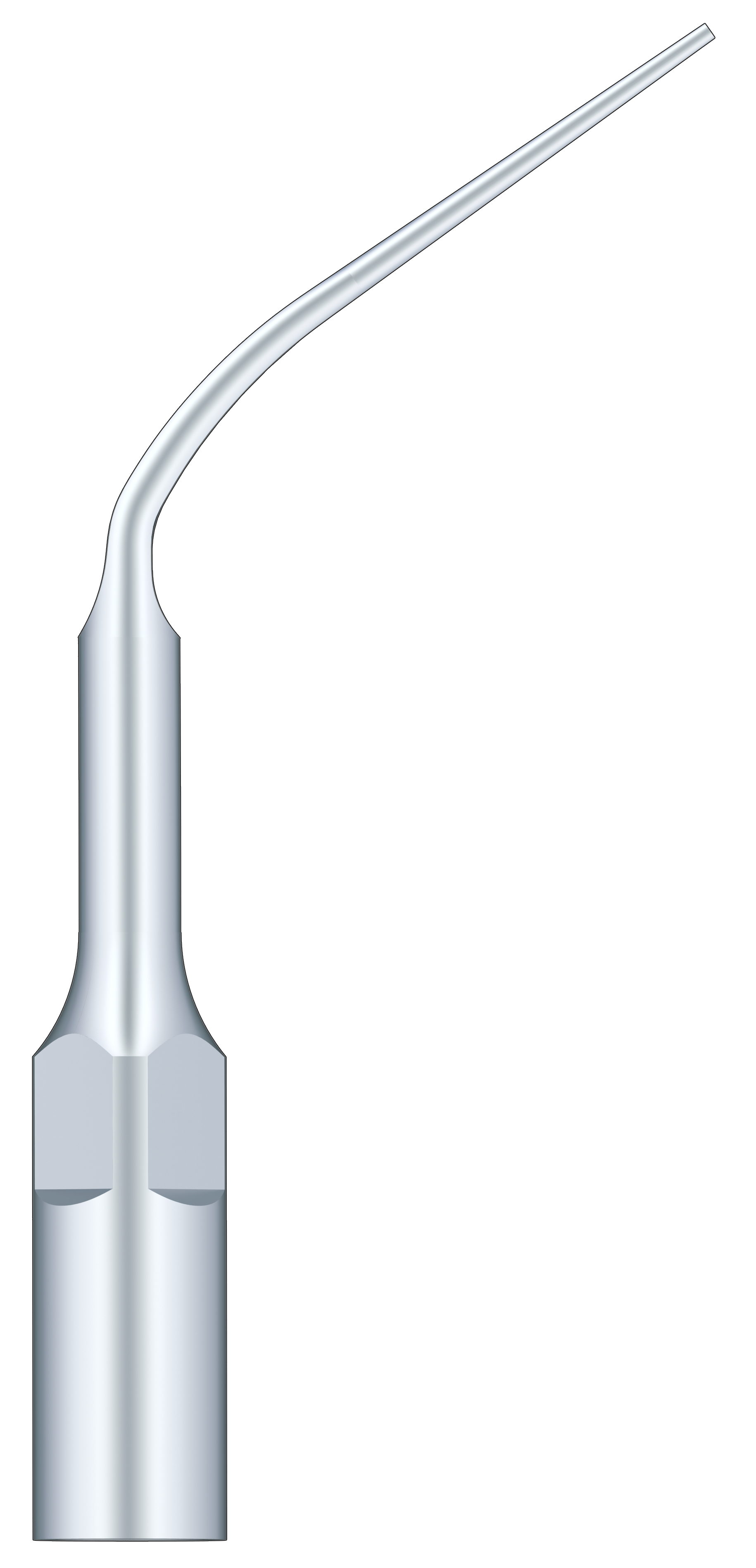 Periodontal Scaling P3