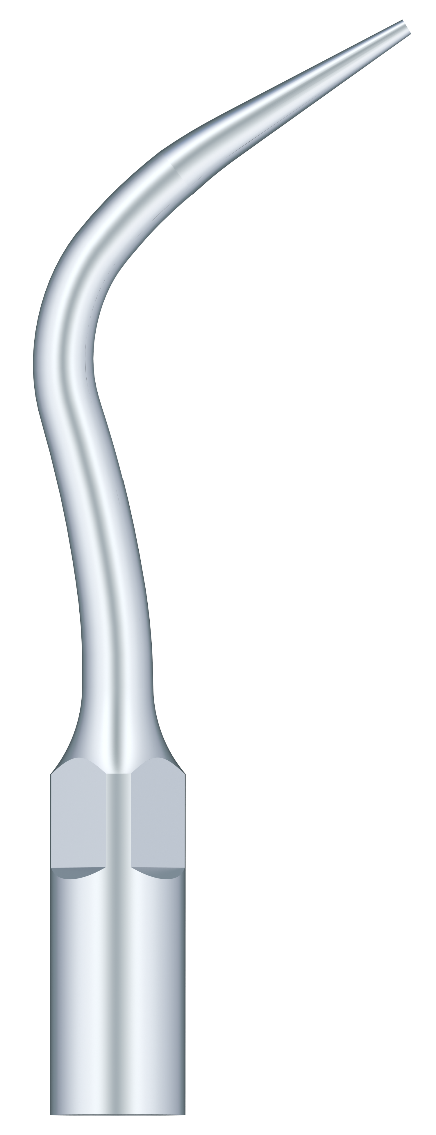 Periodontal Scaling P4