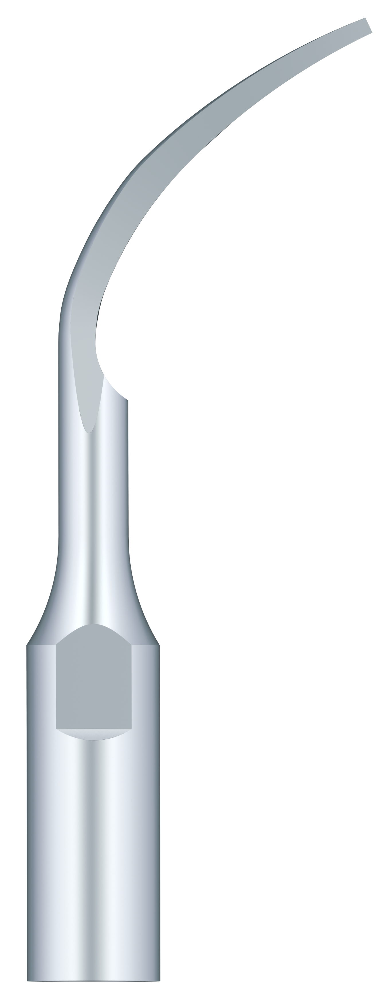 Periodontal Scaling PD1