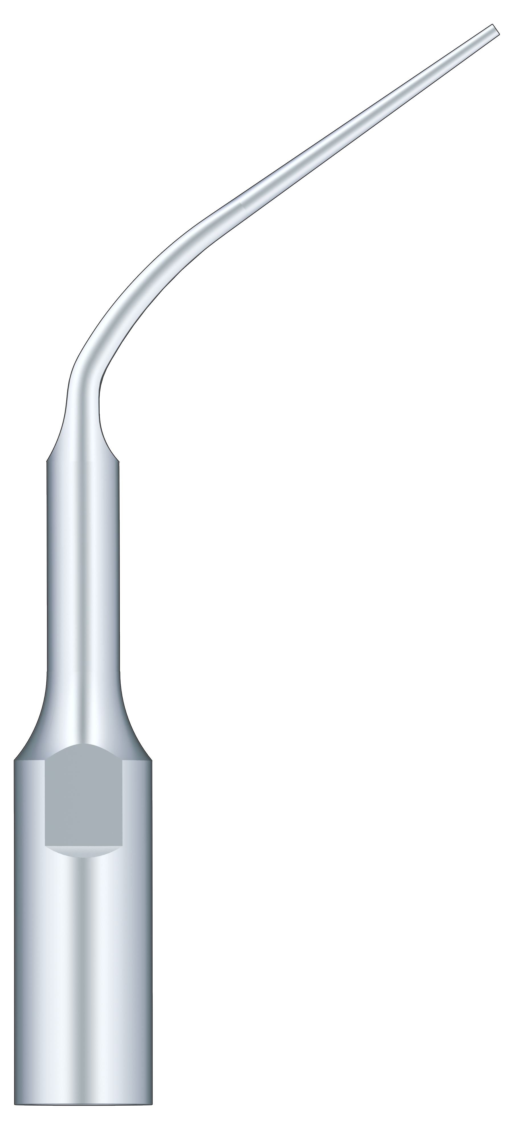 Periodontal Scaling PD3