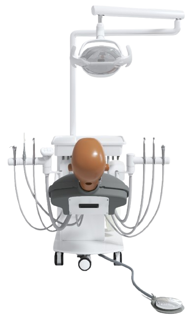 Ajax Phantom Head Teaching System