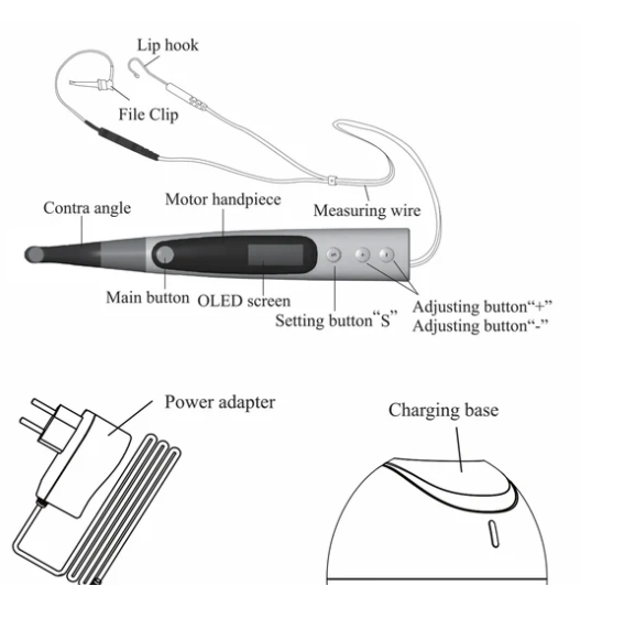 Woodpecker Endomatic Endo Motor With Apex Locator