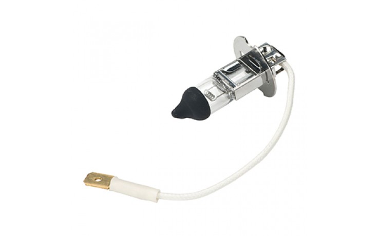 DCI 8890 Belmont Clesta Light Bulb 24V 60W Black Tip