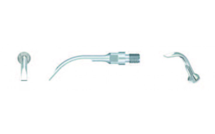 SUPRAGINGIVAL SCALING GS6